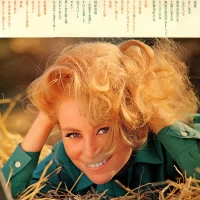 68 All Stars - 32 Attractive Big Hit Songs (2LP) (1971) GW-8087-8 0