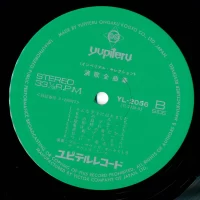 Blue Sounds Orchestra - Enka Best Hits 32 (2LP) YL-2055-6 1