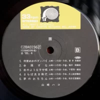 Hako Yamasaki - Akane (1981) C28A0156 8
