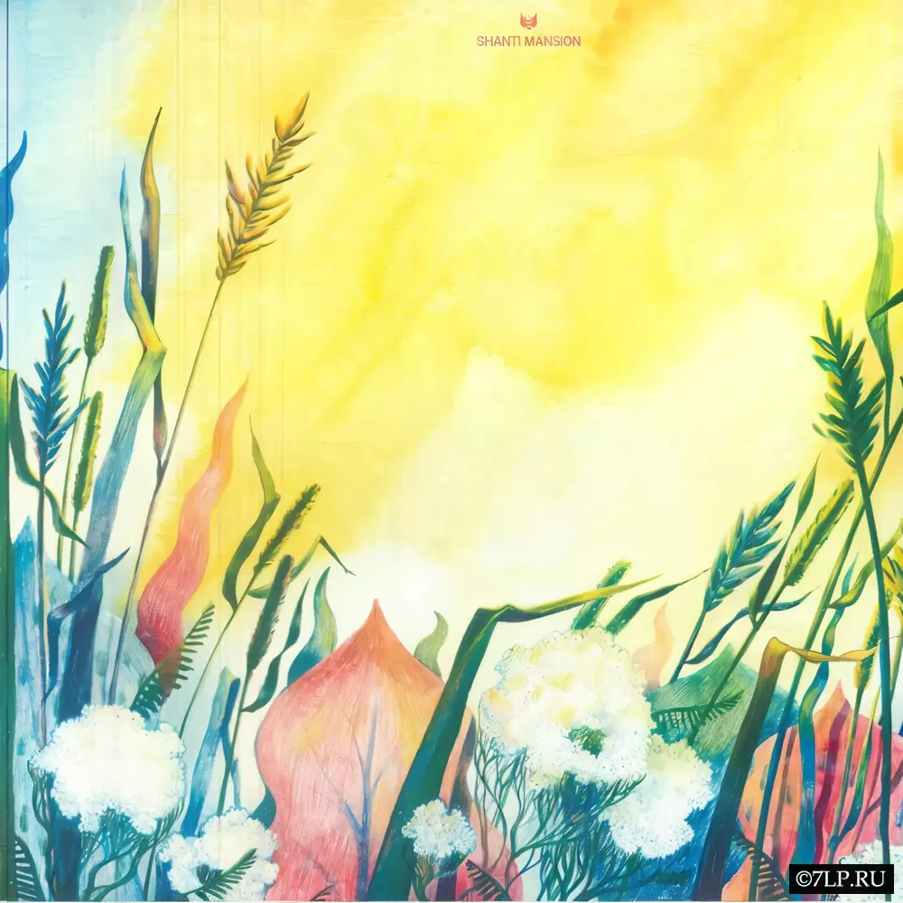 Ремиксы G-Pal на трек Planet Funk "Shanti" будут переизданы на виниле