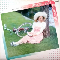 Big hit melodies best 36 - 2LP (1976) GW-3095-6 0