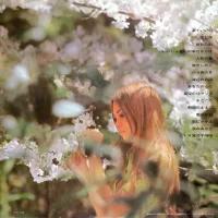 Kaoru Akimoto - Namida de Ii no (1969) MR-3081 0