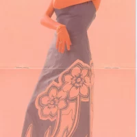 Chiyo Okumura - Chiyo no Amai Ohanashi (2010) CDSOL-1379 1