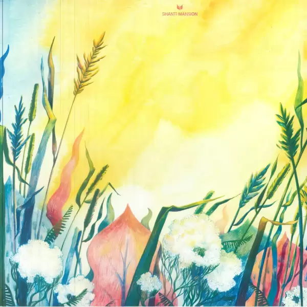 Ремиксы G-Pal на трек Planet Funk "Shanti" будут переизданы на виниле